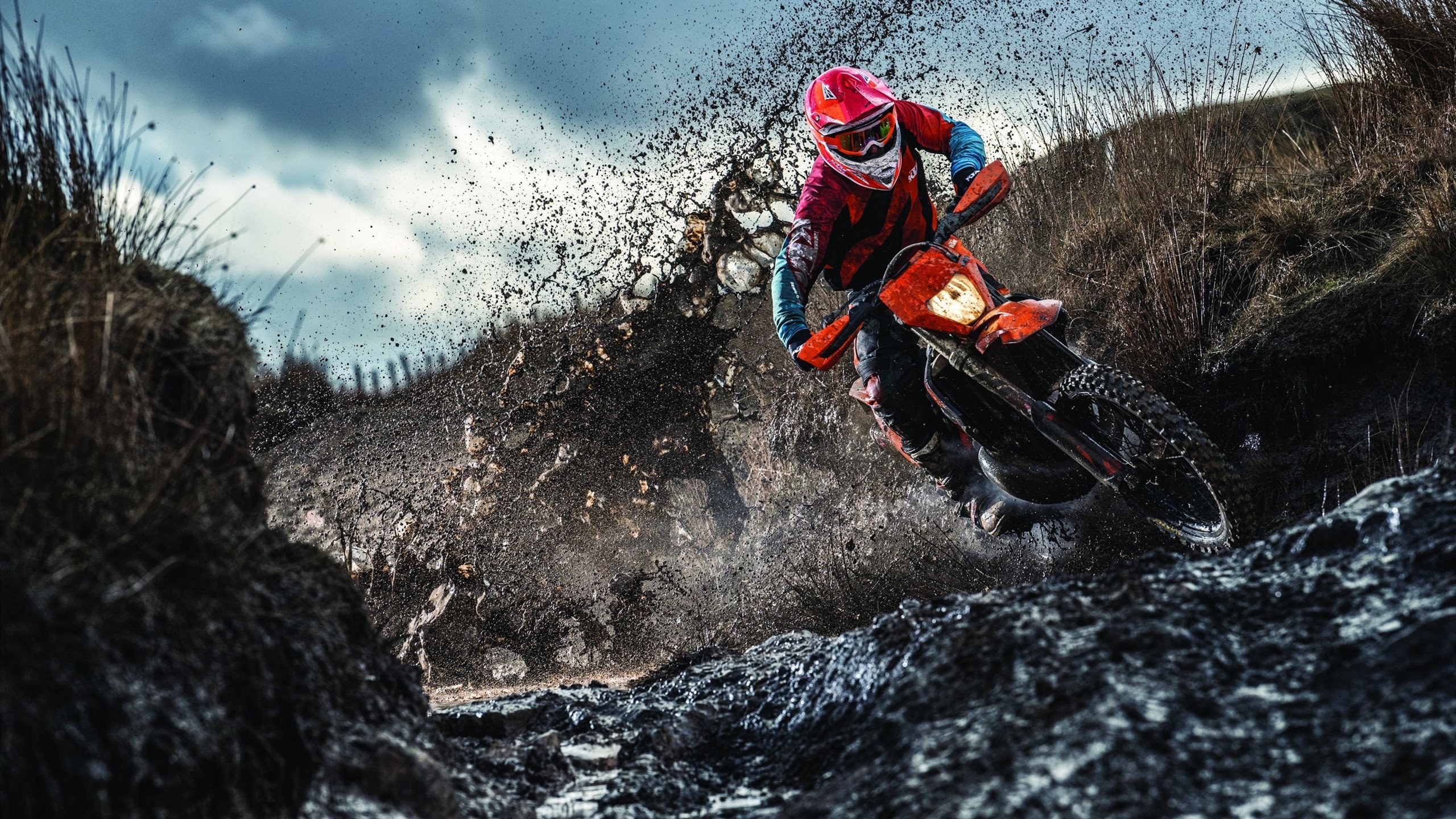 新生代选手表现受到关注